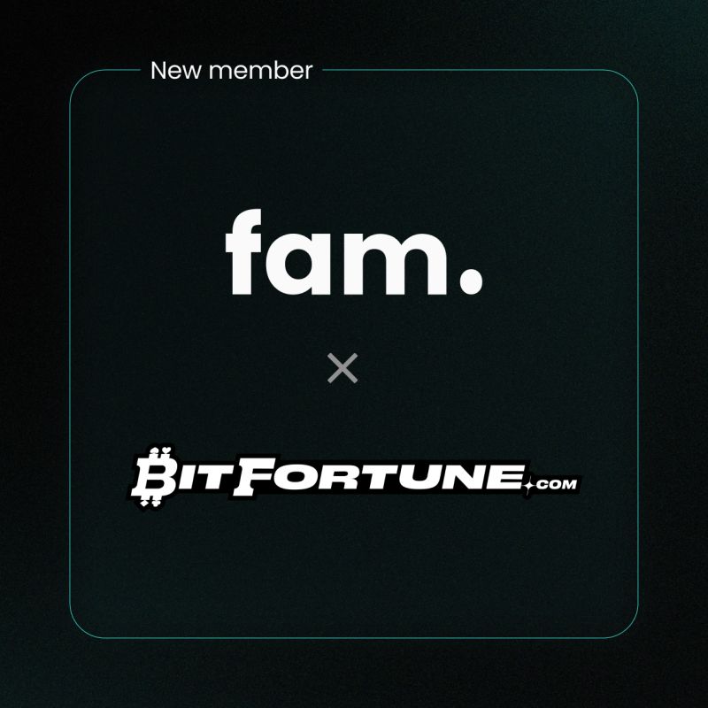 Understanding Operational Risks in Offshore Cryptocurrency Ventures